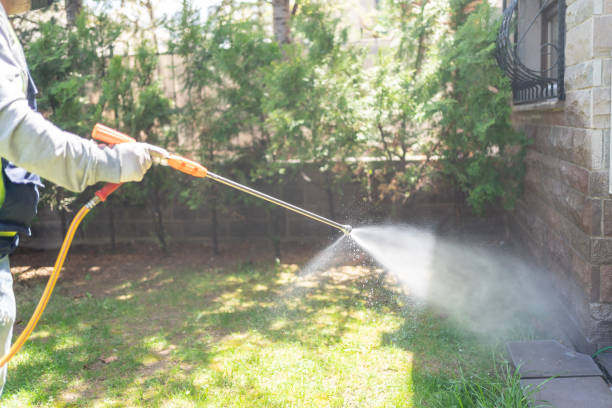 Best Commercial Pest Control  in Puyallup, WA